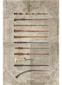 Poster Harry Potter The Wand Chooses 